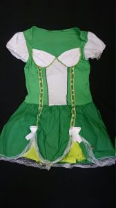 Adult Female Costumes to Hire - German Green dress